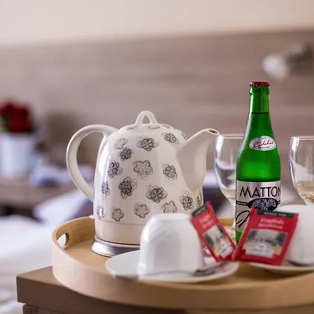 酒店 坎帕梅达博物馆酒店 布拉格